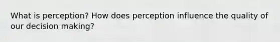 What is perception? How does perception influence the quality of our decision making?