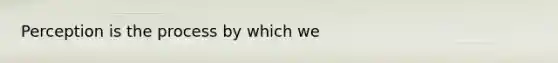 Perception is the process by which we