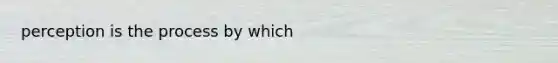 perception is the process by which