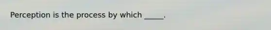 Perception is the process by which _____.