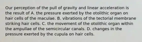 Our perception of the pull of gravity and linear acceleration is the result of A. the pressure exerted by the otolithic organ on hair cells of the maculae. B. vibrations of the tectorial membrane striking hair cells. C. the movement of the otolithic organ within the ampullae of the semicircular canals. D. changes in the pressure exerted by the cupula on hair cells.