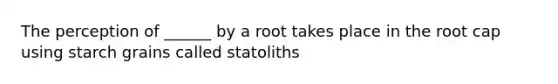 The perception of ______ by a root takes place in the root cap using starch grains called statoliths