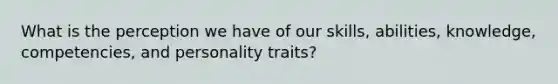 What is the perception we have of our skills, abilities, knowledge, competencies, and personality traits?