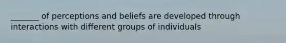 _______ of perceptions and beliefs are developed through interactions with different groups of individuals