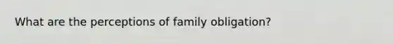 What are the perceptions of family obligation?