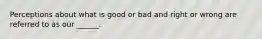 Perceptions about what is good or bad and right or wrong are referred to as our ______.