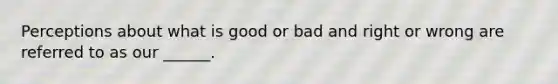 Perceptions about what is good or bad and right or wrong are referred to as our ______.