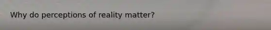 Why do perceptions of reality matter?