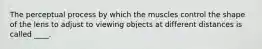 The perceptual process by which the muscles control the shape of the lens to adjust to viewing objects at different distances is called ____.