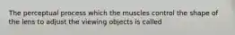 The perceptual process which the muscles control the shape of the lens to adjust the viewing objects is called