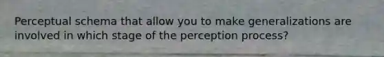 Perceptual schema that allow you to make generalizations are involved in which stage of the perception process?