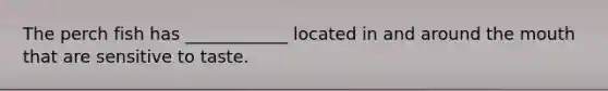 The perch fish has ____________ located in and around the mouth that are sensitive to taste.