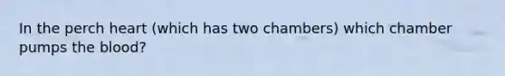 In the perch heart (which has two chambers) which chamber pumps the blood?