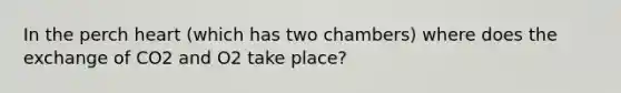 In the perch heart (which has two chambers) where does the exchange of CO2 and O2 take place?