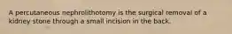 A percutaneous nephrolithotomy is the surgical removal of a kidney stone through a small incision in the back.