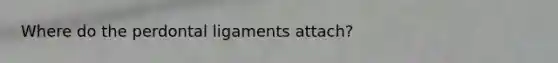 Where do the perdontal ligaments attach?