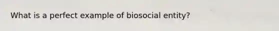 What is a perfect example of biosocial entity?