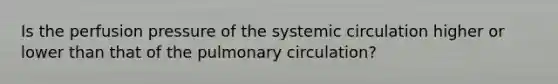 Is the perfusion pressure of the systemic circulation higher or lower than that of the pulmonary circulation?