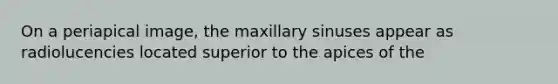 On a periapical image, the maxillary sinuses appear as radiolucencies located superior to the apices of the