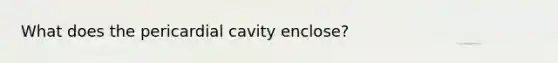 What does the pericardial cavity enclose?