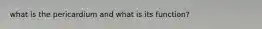 what is the pericardium and what is its function?