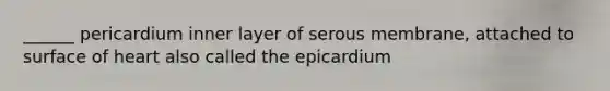 ______ pericardium inner layer of serous membrane, attached to surface of heart also called the epicardium