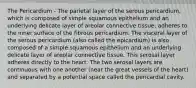 The Pericardium - The parietal layer of the serous pericardium, which is composed of simple squamous epithelium and an underlying delicate layer of areolar connective tissue, adheres to the inner surface of the fibrous pericardium. The visceral layer of the serous pericardium (also called the epicardium) is also composed of a simple squamous epithelium and an underlying delicate layer of areolar connective tissue. This serosal layer adheres directly to the heart. The two serosal layers are continuous with one another (near the great vessels of the heart) and separated by a potential space called the pericardial cavity.