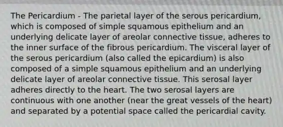 The Pericardium - The parietal layer of the serous pericardium, which is composed of simple squamous epithelium and an underlying delicate layer of areolar connective tissue, adheres to the inner surface of the fibrous pericardium. The visceral layer of the serous pericardium (also called the epicardium) is also composed of a simple squamous epithelium and an underlying delicate layer of areolar connective tissue. This serosal layer adheres directly to the heart. The two serosal layers are continuous with one another (near the great vessels of the heart) and separated by a potential space called the pericardial cavity.