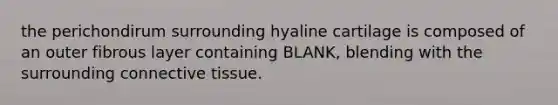 the perichondirum surrounding hyaline cartilage is composed of an outer fibrous layer containing BLANK, blending with the surrounding connective tissue.