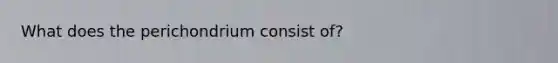 What does the perichondrium consist of?