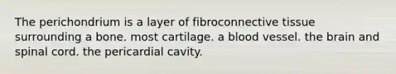 The perichondrium is a layer of fibroconnective tissue surrounding a bone. most cartilage. a blood vessel. the brain and spinal cord. the pericardial cavity.