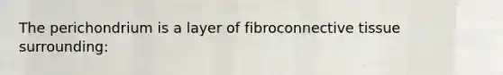 The perichondrium is a layer of fibroconnective tissue surrounding: