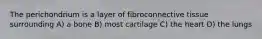 The perichondrium is a layer of fibroconnective tissue surrounding A) a bone B) most cartilage C) the heart D) the lungs