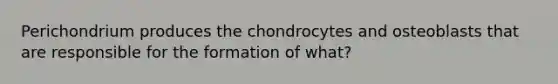 Perichondrium produces the chondrocytes and osteoblasts that are responsible for the formation of what?