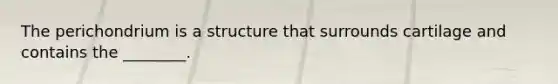The perichondrium is a structure that surrounds cartilage and contains the ________.
