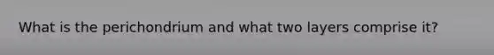 What is the perichondrium and what two layers comprise it?