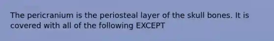 The pericranium is the periosteal layer of the skull bones. It is covered with all of the following EXCEPT