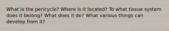 What is the pericycle? Where is it located? To what tissue system does it belong? What does it do? What various things can develop from it?