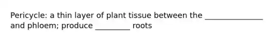 Pericycle: a thin layer of plant tissue between the _______________ and phloem; produce _________ roots