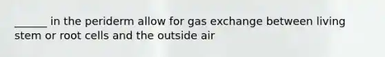 ______ in the periderm allow for gas exchange between living stem or root cells and the outside air