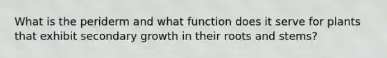 What is the periderm and what function does it serve for plants that exhibit secondary growth in their roots and stems?