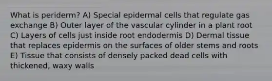 What is periderm? A) Special epidermal cells that regulate gas exchange B) Outer layer of the vascular cylinder in a plant root C) Layers of cells just inside root endodermis D) Dermal tissue that replaces epidermis on the surfaces of older stems and roots E) Tissue that consists of densely packed dead cells with thickened, waxy walls