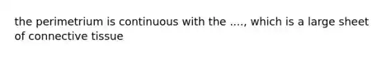 the perimetrium is continuous with the ...., which is a large sheet of connective tissue
