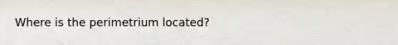 Where is the perimetrium located?