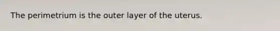 The perimetrium is the outer layer of the uterus.