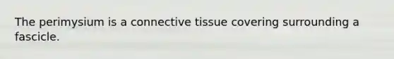 The perimysium is a connective tissue covering surrounding a fascicle.