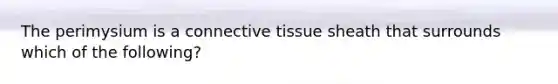 The perimysium is a connective tissue sheath that surrounds which of the following?