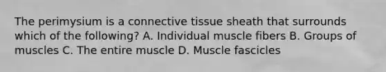 The perimysium is a connective tissue sheath that surrounds which of the following? A. Individual muscle fibers B. Groups of muscles C. The entire muscle D. Muscle fascicles