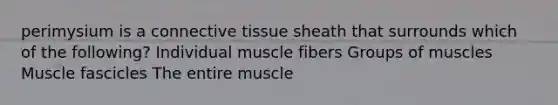 perimysium is a <a href='https://www.questionai.com/knowledge/kYDr0DHyc8-connective-tissue' class='anchor-knowledge'>connective tissue</a> sheath that surrounds which of the following? Individual muscle fibers Groups of muscles Muscle fascicles The entire muscle