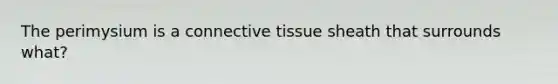 The perimysium is a connective tissue sheath that surrounds what?